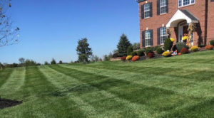 Bohonyi Landscaping Lawn Care