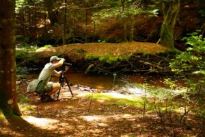 Pankaj Saharia Nature Photography