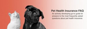 Pet Insurance FAQ