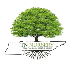TN Nursery TN Nursery